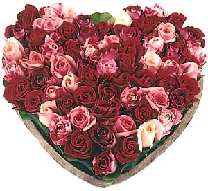 Roses coeur